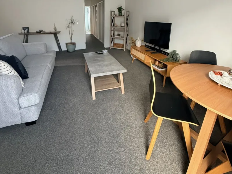 Sunny & Welcoming Apartment near Te Kaha (One Stadium) & CBD