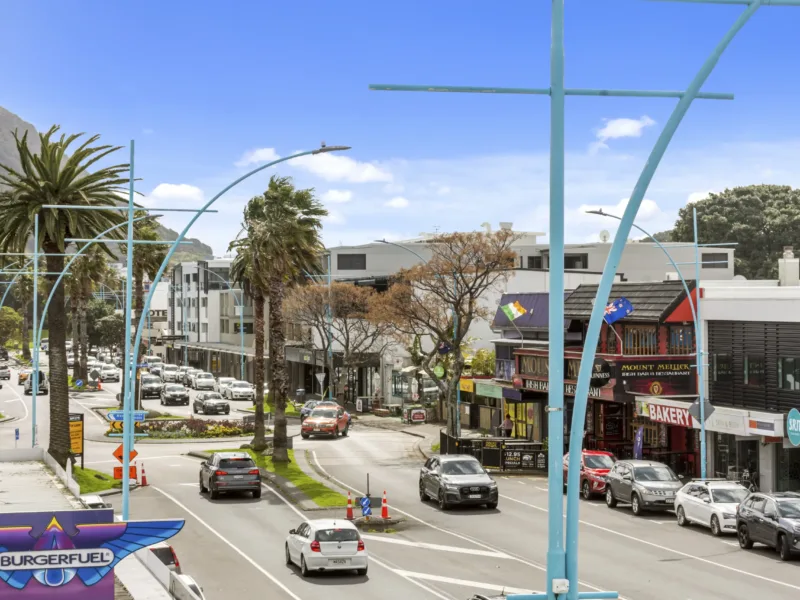 Sunny Apartment in Downtown Mount Maunganui