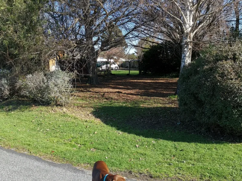3 bedroom pet-friendly rural-feel close to town.
