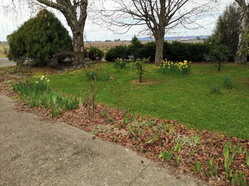 3 bedroom pet-friendly rural-feel close to town.