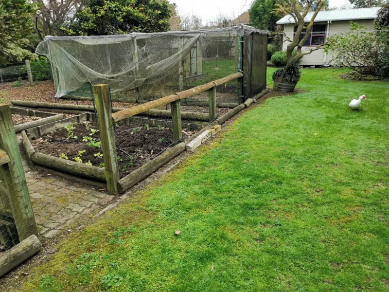 3 bedroom pet-friendly rural-feel close to town.