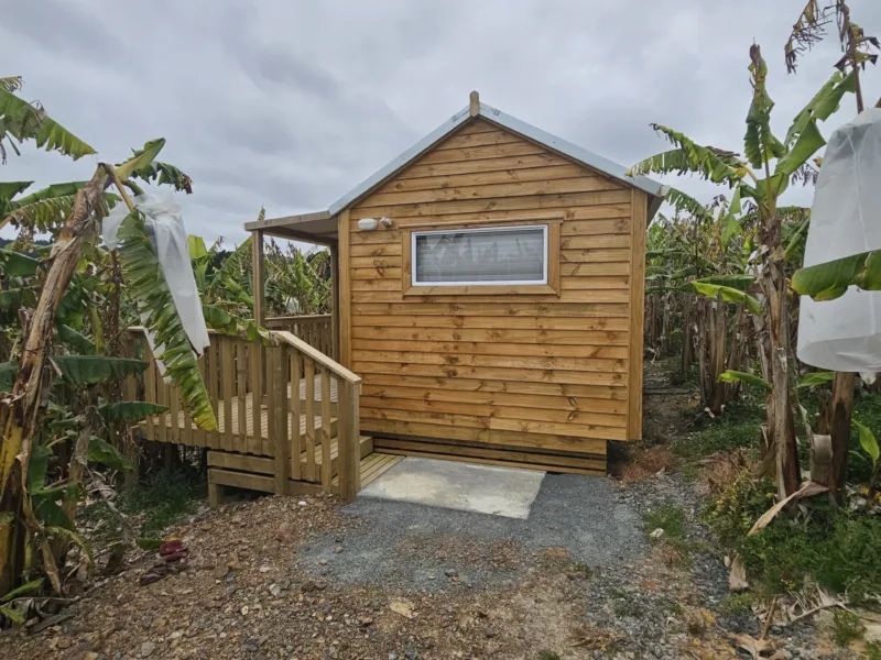 The laid back banana shack