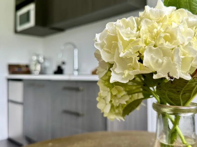 Matamata Country B&B