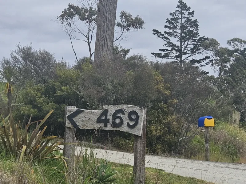 The laid back banana shack
