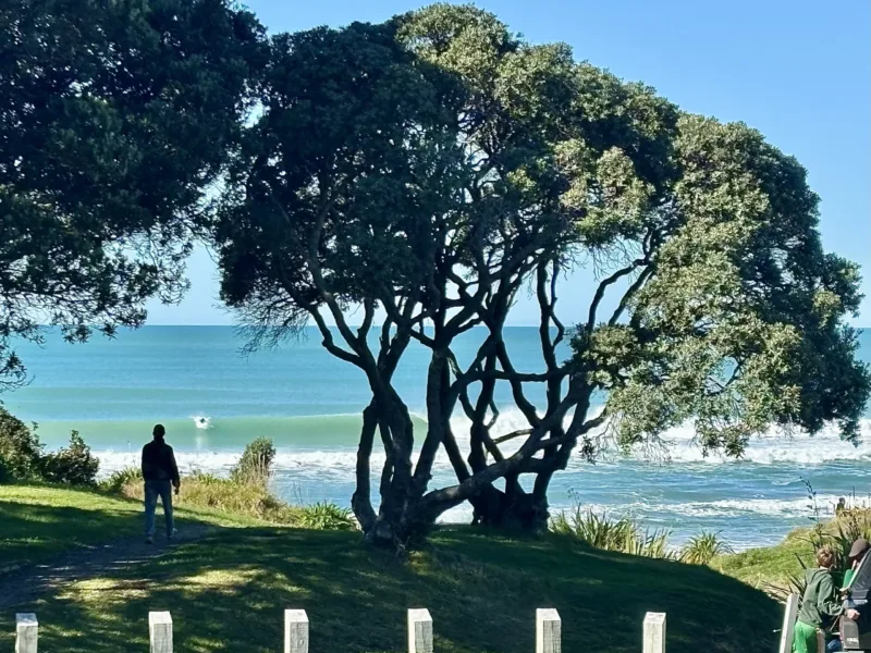 30 Seconds to the Beach: Wainui Beachfront Retreat