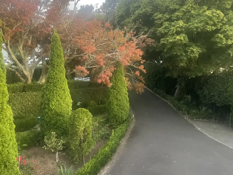 The Avenues Hideaway - Cosy Tauranga Retreat