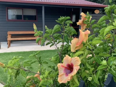 Guesthouse at Ohope Beach