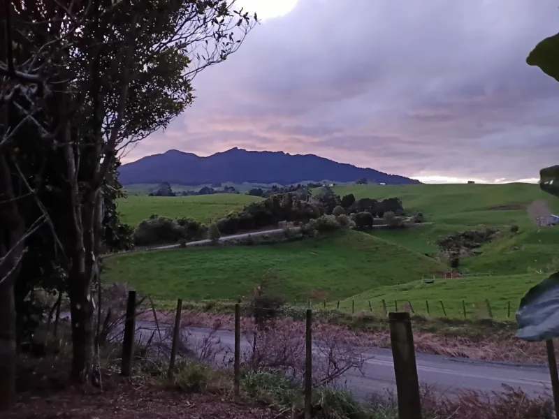 Private Country Cottage near Raglan with Scenic Countryside Views